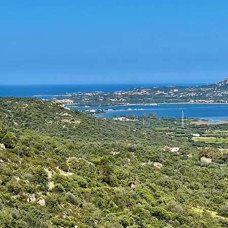 Fiori Con Piscina By Wonderful Italy Villa Olbia