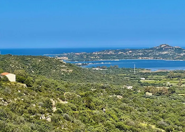 Fiori Con Piscina By Wonderful Italy Villa Olbia